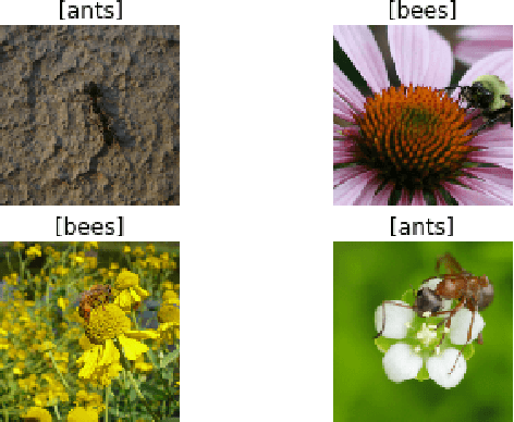 Figure 3 for Transfer learning in hybrid classical-quantum neural networks