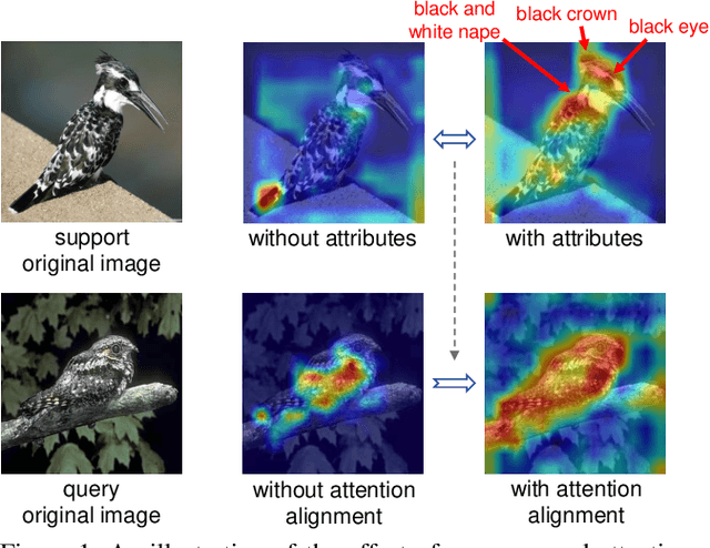 Figure 1 for Attributes-Guided and Pure-Visual Attention Alignment for Few-Shot Recognition