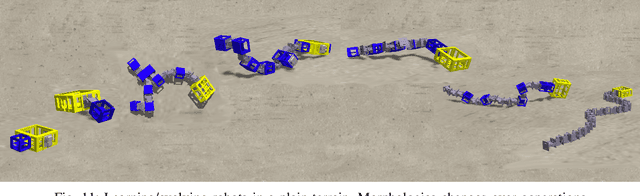 Figure 3 for The Effects of Learning in Morphologically Evolving Robot Systems