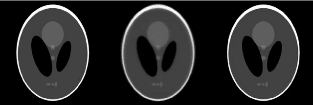 Figure 1 for Software Implementation of the Krylov Methods Based Reconstruction for the 3D Cone Beam CT Operator