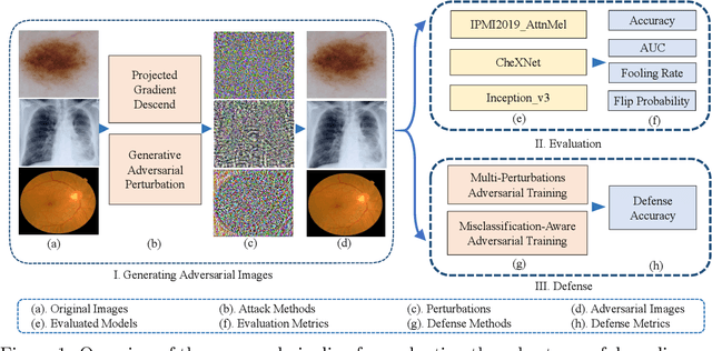 Figure 1 for Towards Evaluating the Robustness of Deep Diagnostic Models by Adversarial Attack