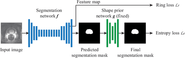 Figure 1 for Source-Free Unsupervised Domain Adaptation with Norm and Shape Constraints for Medical Image Segmentation