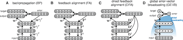 Figure 1 for Credit Assignment Through Broadcasting a Global Error Vector