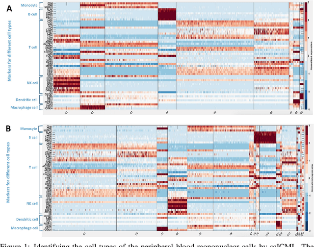 Figure 2 for scICML: Information-theoretic Co-clustering-based Multi-view Learning for the Integrative Analysis of Single-cell Multi-omics data