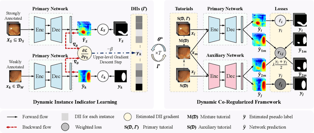 Figure 3 for Label-efficient Hybrid-supervised Learning for Medical Image Segmentation