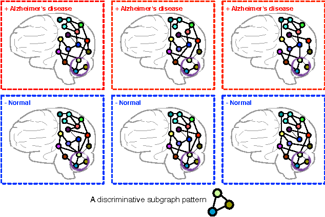 Figure 2 for A review of heterogeneous data mining for brain disorders