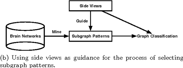 Figure 4 for A review of heterogeneous data mining for brain disorders