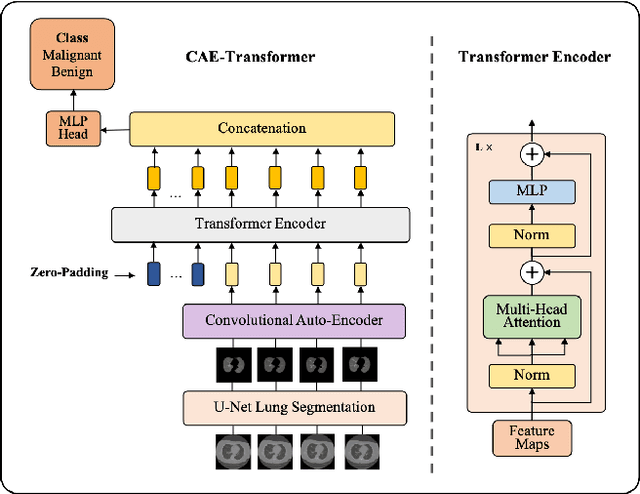Figure 3 for CAE-Transformer: Transformer-based Model to Predict Invasiveness of Lung Adenocarcinoma Subsolid Nodules from Non-thin Section 3D CT Scans