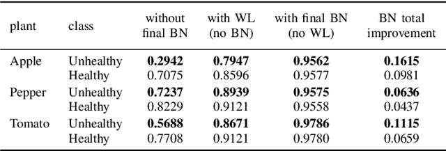 Figure 4 for Improving Model Accuracy for Imbalanced Image Classification Tasks by Adding a Final Batch Normalization Layer: An Empirical Study