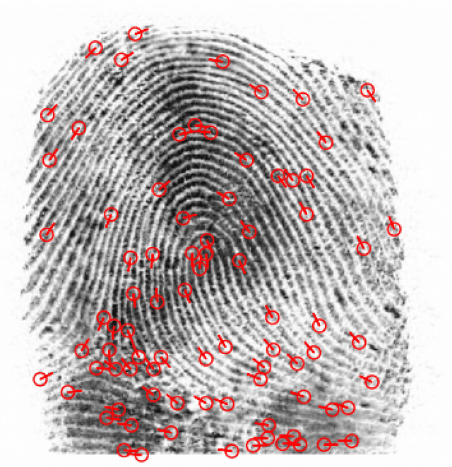 Figure 1 for PrintsGAN: Synthetic Fingerprint Generator