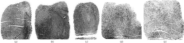 Figure 4 for PrintsGAN: Synthetic Fingerprint Generator