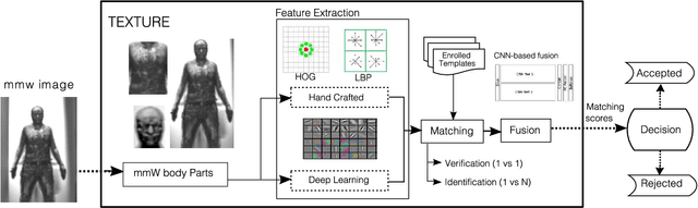 Figure 1 for Exploring Body Texture from mmW Images for Person Recognition