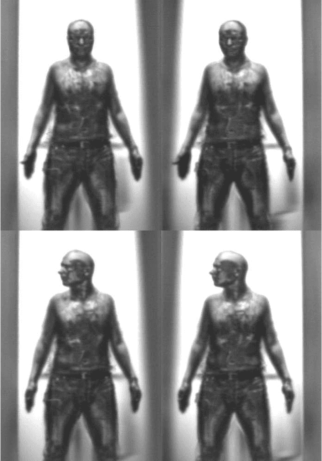 Figure 4 for Exploring Body Texture from mmW Images for Person Recognition