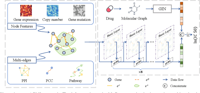 Figure 1 for AGMI: Attention-Guided Multi-omics Integration for Drug Response Prediction with Graph Neural Networks