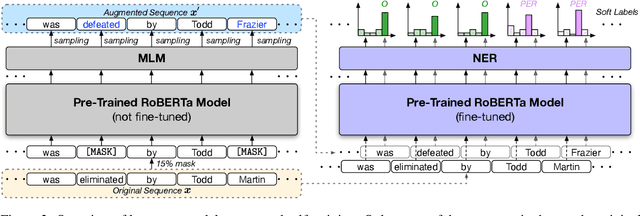 Figure 3 for Distantly-Supervised Named Entity Recognition with Noise-Robust Learning and Language Model Augmented Self-Training