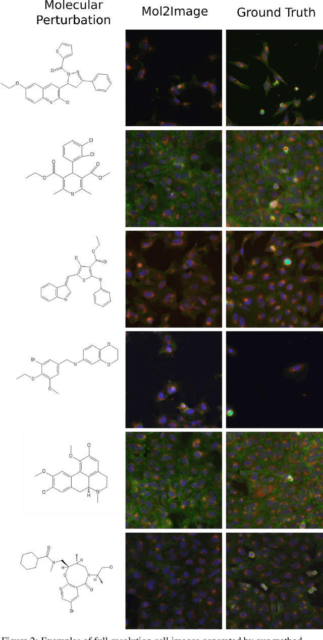 Figure 4 for Improved Conditional Flow Models for Molecule to Image Synthesis