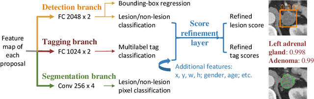 Figure 3 for MULAN: Multitask Universal Lesion Analysis Network for Joint Lesion Detection, Tagging, and Segmentation