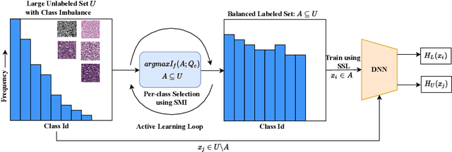 Figure 1 for BASIL: Balanced Active Semi-supervised Learning for Class Imbalanced Datasets