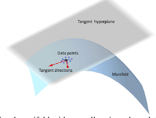 Figure 1 for The Local Dimension of Deep Manifold