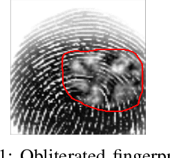 Figure 1 for Damaged Fingerprint Recognition by Convolutional Long Short-Term Memory Networks for Forensic Purposes