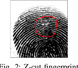 Figure 3 for Damaged Fingerprint Recognition by Convolutional Long Short-Term Memory Networks for Forensic Purposes