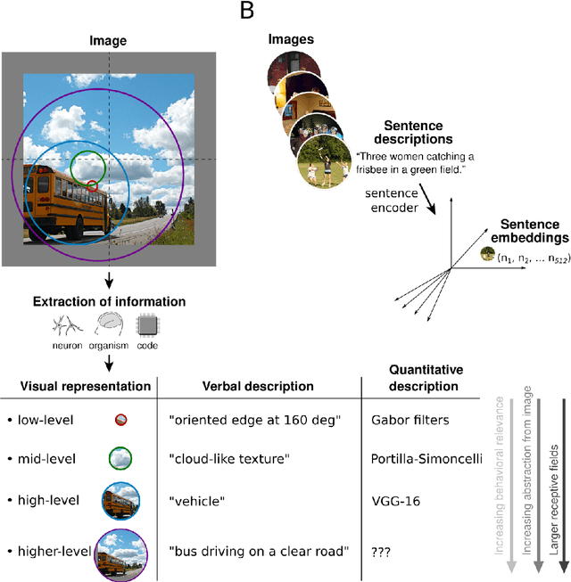 Figure 1 for Semantic scene descriptions as an objective of human vision
