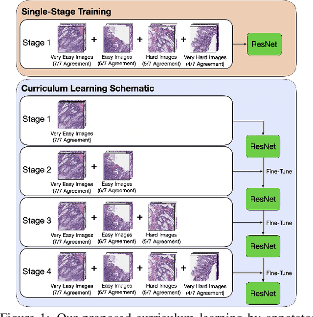 Figure 1 for Learn like a Pathologist: Curriculum Learning by Annotator Agreement for Histopathology Image Classification