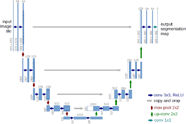 Figure 3 for Retinal Microvasculature as Biomarker for Diabetes and Cardiovascular Diseases