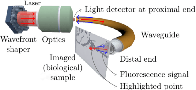 Figure 1 for Compressive lensless endoscopy with partial speckle scanning