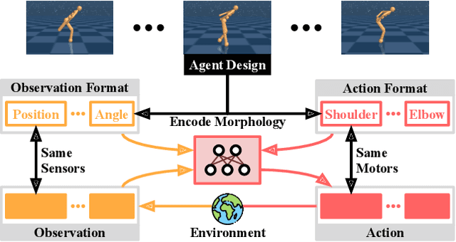 Figure 1 for AnyMorph: Learning Transferable Polices By Inferring Agent Morphology