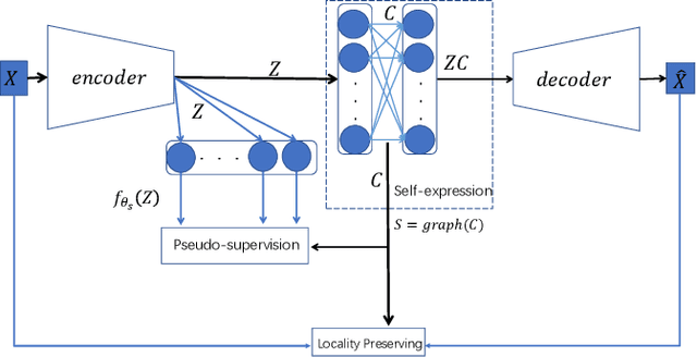Figure 1 for Pseudo-supervised Deep Subspace Clustering