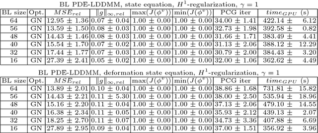 Figure 4 for Newton-Krylov PDE-constrained LDDMM in the space of band-limited vector fields