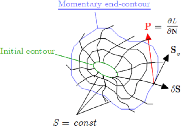 Figure 3 for Surface Segmentation Using Implicit Divergence Constraint Between Adjacent Minimal Paths