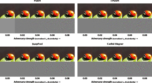 Figure 1 for Countering Adversarial Images using Input Transformations