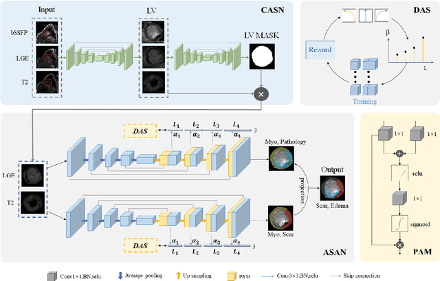 Figure 3 for AWSnet: An Auto-weighted Supervision Attention Network for Myocardial Scar and Edema Segmentation in Multi-sequence Cardiac Magnetic Resonance Images