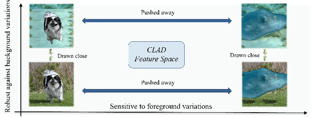 Figure 1 for CLAD: A Contrastive Learning based Approach for Background Debiasing