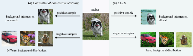 Figure 3 for CLAD: A Contrastive Learning based Approach for Background Debiasing
