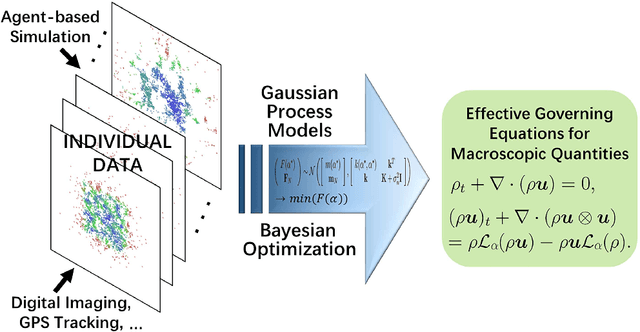 Figure 1 for Nonlocal flocking dynamics: Learning the fractional order of PDEs from particle simulations