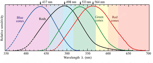 Figure 2 for Keeping it simple: Implementation and performance of the proto-principle of adaptation and learning in the language sciences