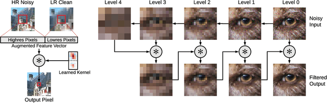Figure 4 for Fast, Trainable, Multiscale Denoising