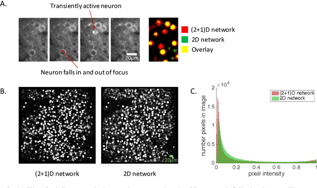 Figure 3 for Automatic Neuron Detection in Calcium Imaging Data Using Convolutional Networks