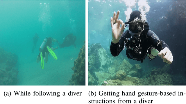Figure 1 for Understanding Human Motion and Gestures for Underwater Human-Robot Collaboration