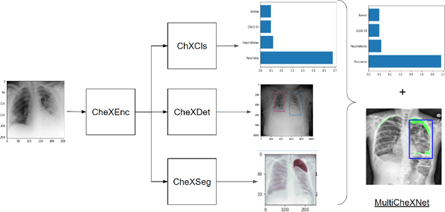 Figure 1 for MultiCheXNet: A Multi-Task Learning Deep Network For Pneumonia-like Diseases Diagnosis From X-ray Scans