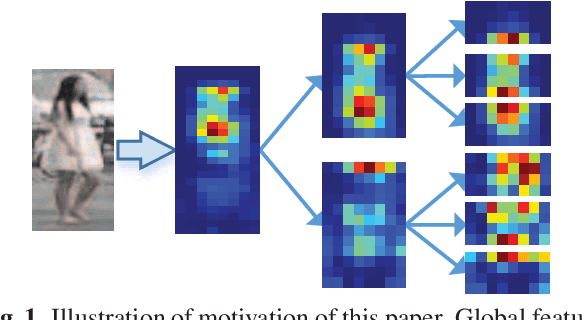 Figure 1 for Pedestrian re-identification based on Tree branch network with local and global learning
