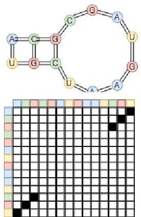 Figure 1 for Classification of Long Noncoding RNA Elements Using Deep Convolutional Neural Networks and Siamese Networks