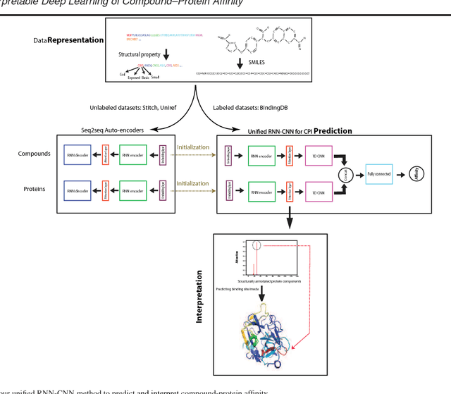 Figure 1 for DeepAffinity: Interpretable Deep Learning of Compound-Protein Affinity through Unified Recurrent and Convolutional Neural Networks