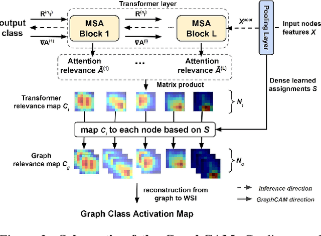 Figure 3 for A graph-transformer for whole slide image classification