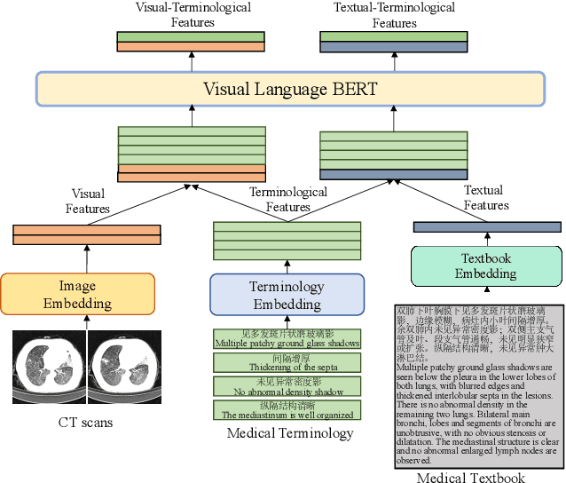 Figure 4 for Medical-VLBERT: Medical Visual Language BERT for COVID-19 CT Report Generation With Alternate Learning