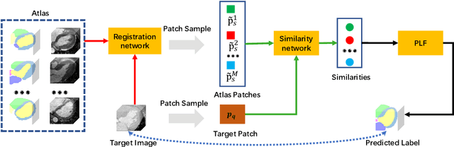 Figure 1 for Cross-Modality Multi-Atlas Segmentation Using Deep Neural Networks