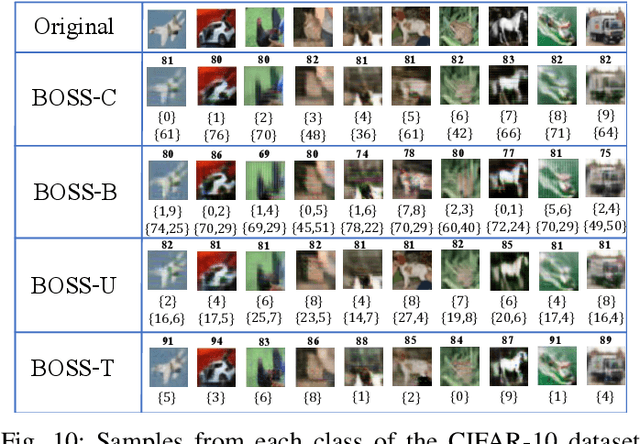 Figure 2 for BOSS: Bidirectional One-Shot Synthesis of Adversarial Examples